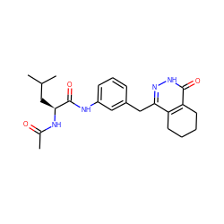 CC(=O)N[C@@H](CC(C)C)C(=O)Nc1cccc(Cc2n[nH]c(=O)c3c2CCCC3)c1 ZINC000169085248