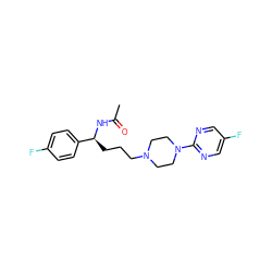 CC(=O)N[C@@H](CCCN1CCN(c2ncc(F)cn2)CC1)c1ccc(F)cc1 ZINC000029566894