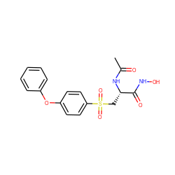 CC(=O)N[C@@H](CS(=O)(=O)c1ccc(Oc2ccccc2)cc1)C(=O)NO ZINC000026645393