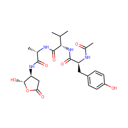 CC(=O)N[C@@H](Cc1ccc(O)cc1)C(=O)N[C@H](C(=O)N[C@@H](C)C(=O)N[C@H]1CC(=O)O[C@@H]1O)C(C)C ZINC000026669833