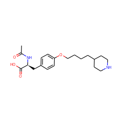 CC(=O)N[C@@H](Cc1ccc(OCCCCC2CCNCC2)cc1)C(=O)O ZINC000013738120