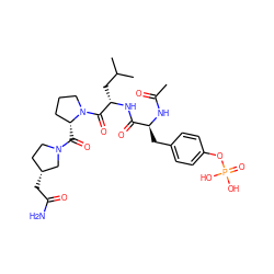 CC(=O)N[C@@H](Cc1ccc(OP(=O)(O)O)cc1)C(=O)N[C@@H](CC(C)C)C(=O)N1CCC[C@H]1C(=O)N1CC[C@@H](CC(N)=O)C1 ZINC000014973070