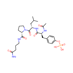 CC(=O)N[C@@H](Cc1ccc(OP(=O)(O)O)cc1)C(=O)N[C@@H](CC(C)C)C(=O)N1CCC[C@H]1C(=O)NCCCC(N)=O ZINC000014973024