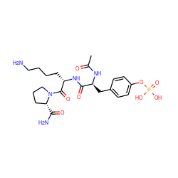CC(=O)N[C@@H](Cc1ccc(OP(=O)(O)O)cc1)C(=O)N[C@@H](CCCCN)C(=O)N1CCC[C@H]1C(N)=O ZINC000653805019
