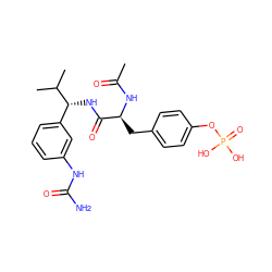 CC(=O)N[C@@H](Cc1ccc(OP(=O)(O)O)cc1)C(=O)N[C@H](c1cccc(NC(N)=O)c1)C(C)C ZINC000026725526