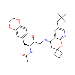 CC(=O)N[C@@H](Cc1ccc2c(c1)OCCO2)[C@H](O)CN[C@H]1CC2(CCC2)Oc2ncc(CC(C)(C)C)cc21 ZINC000095571826