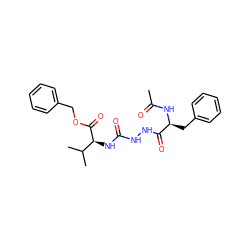 CC(=O)N[C@@H](Cc1ccccc1)C(=O)NNC(=O)N[C@H](C(=O)OCc1ccccc1)C(C)C ZINC000013491221