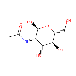 CC(=O)N[C@@H]1[C@@H](O)O[C@H](CO)[C@@H](O)[C@@H]1O ZINC000004096030