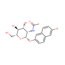 CC(=O)N[C@@H]1[C@H](Oc2ccc3cc(Br)ccc3c2)O[C@H](CO)[C@@H](O)[C@@H]1O ZINC000083260913