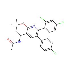 CC(=O)N[C@@H]1CC(C)(C)Oc2nc(-c3ccc(Cl)cc3Cl)c(-c3ccc(Cl)cc3)cc21 ZINC000049112594