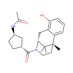 CC(=O)N[C@@H]1CC[C@@H](C(=O)N2CC[C@@]3(C)c4cccc(O)c4C[C@@H]2C3(C)C)C1 ZINC000201103990