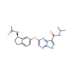 CC(=O)N[C@@H]1CCc2ccc(Oc3cnc4[nH]cc(C(=O)NC(C)C)c4n3)cc21 ZINC000096269457