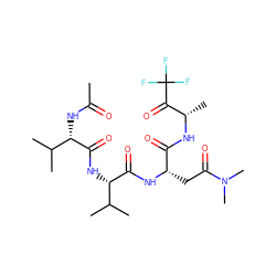 CC(=O)N[C@H](C(=O)N[C@H](C(=O)N[C@@H](CC(=O)N(C)C)C(=O)N[C@@H](C)C(=O)C(F)(F)F)C(C)C)C(C)C ZINC000013775836