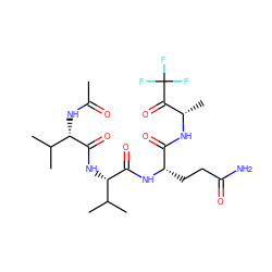 CC(=O)N[C@H](C(=O)N[C@H](C(=O)N[C@@H](CCC(N)=O)C(=O)N[C@@H](C)C(=O)C(F)(F)F)C(C)C)C(C)C ZINC000013775828