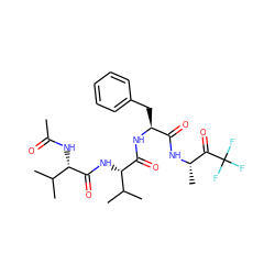 CC(=O)N[C@H](C(=O)N[C@H](C(=O)N[C@@H](Cc1ccccc1)C(=O)N[C@@H](C)C(=O)C(F)(F)F)C(C)C)C(C)C ZINC000013775840