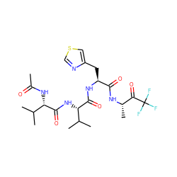 CC(=O)N[C@H](C(=O)N[C@H](C(=O)N[C@@H](Cc1cscn1)C(=O)N[C@@H](C)C(=O)C(F)(F)F)C(C)C)C(C)C ZINC000027414109