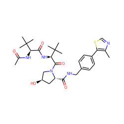 CC(=O)N[C@H](C(=O)N[C@H](C(=O)N1C[C@H](O)C[C@H]1C(=O)NCc1ccc(-c2scnc2C)cc1)C(C)(C)C)C(C)(C)C ZINC000098208450