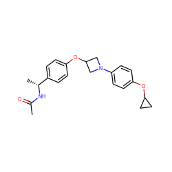 CC(=O)N[C@H](C)c1ccc(OC2CN(c3ccc(OC4CC4)cc3)C2)cc1 ZINC000142226387