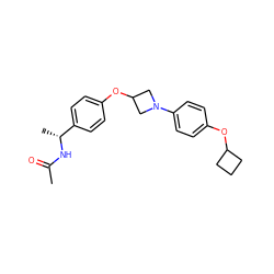 CC(=O)N[C@H](C)c1ccc(OC2CN(c3ccc(OC4CCC4)cc3)C2)cc1 ZINC000142309436