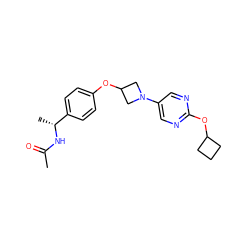 CC(=O)N[C@H](C)c1ccc(OC2CN(c3cnc(OC4CCC4)nc3)C2)cc1 ZINC000142278471