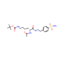 CC(=O)N[C@H](CCCCNC(=O)OC(C)(C)C)C(=O)NCCc1ccc(S(N)(=O)=O)cc1 ZINC000299825507