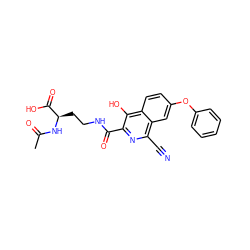 CC(=O)N[C@H](CCNC(=O)c1nc(C#N)c2cc(Oc3ccccc3)ccc2c1O)C(=O)O ZINC000146675410