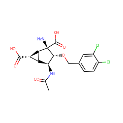 CC(=O)N[C@H]1[C@H]2[C@H](C(=O)O)[C@H]2[C@](N)(C(=O)O)[C@@H]1OCc1ccc(Cl)c(Cl)c1 ZINC000143149714