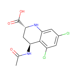 CC(=O)N[C@H]1C[C@H](C(=O)O)Nc2cc(Cl)cc(Cl)c21 ZINC000013455247