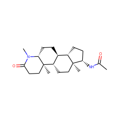 CC(=O)N[C@H]1CC[C@H]2[C@@H]3CC[C@H]4N(C)C(=O)CC[C@]4(C)[C@H]3CC[C@]12C ZINC000143243776