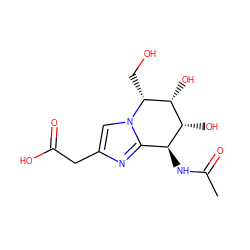 CC(=O)N[C@H]1c2nc(CC(=O)O)cn2[C@H](CO)[C@H](O)[C@@H]1O ZINC000013898951