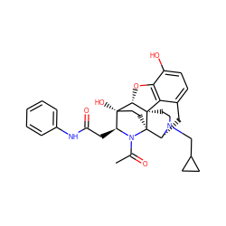 CC(=O)N1[C@@H](CC(=O)Nc2ccccc2)[C@]2(O)CC[C@]13[C@H]1Cc4ccc(O)c5c4[C@]3(CCN1CC1CC1)[C@H]2O5 ZINC000103145729