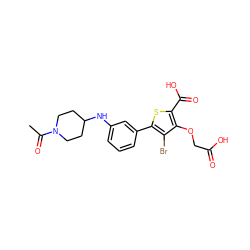 CC(=O)N1CCC(Nc2cccc(-c3sc(C(=O)O)c(OCC(=O)O)c3Br)c2)CC1 ZINC000028711539