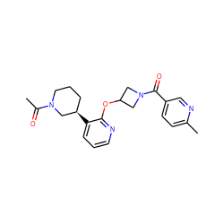 CC(=O)N1CCC[C@@H](c2cccnc2OC2CN(C(=O)c3ccc(C)nc3)C2)C1 ZINC000096168924