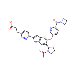 CC(=O)N1CCC[C@@H]1c1cc2[nH]c(-c3ccc(CCC(=O)O)cn3)cc2cc1Oc1ccc(C(=O)N2CCC2)nc1 ZINC000209685409