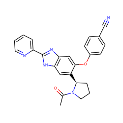 CC(=O)N1CCC[C@@H]1c1cc2[nH]c(-c3ccccn3)nc2cc1Oc1ccc(C#N)cc1 ZINC000043119896