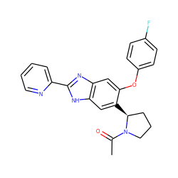 CC(=O)N1CCC[C@@H]1c1cc2[nH]c(-c3ccccn3)nc2cc1Oc1ccc(F)cc1 ZINC000042965764