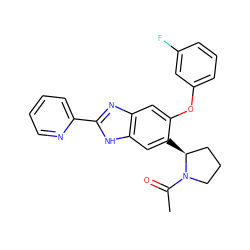 CC(=O)N1CCC[C@@H]1c1cc2[nH]c(-c3ccccn3)nc2cc1Oc1cccc(F)c1 ZINC000043073567