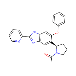 CC(=O)N1CCC[C@@H]1c1cc2nc(-c3ccccn3)[nH]c2cc1Oc1ccccc1 ZINC000043014182