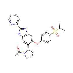 CC(=O)N1CCC[C@H]1c1cc2[nH]c(-c3ccccn3)nc2cc1Oc1ccc(S(=O)(=O)C(C)C)cc1 ZINC000043059965