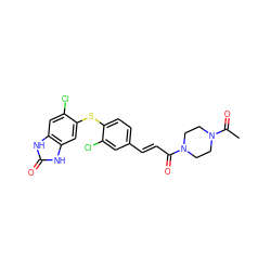 CC(=O)N1CCN(C(=O)/C=C/c2ccc(Sc3cc4[nH]c(=O)[nH]c4cc3Cl)c(Cl)c2)CC1 ZINC000013862561