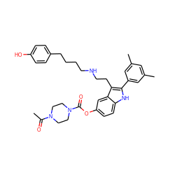 CC(=O)N1CCN(C(=O)Oc2ccc3[nH]c(-c4cc(C)cc(C)c4)c(CCNCCCCc4ccc(O)cc4)c3c2)CC1 ZINC000027560975