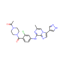 CC(=O)N1CCN(C(=O)c2ccc(Nc3nc(C)cn4c(-c5cn[nH]c5)cnc34)cc2Cl)CC1 ZINC000072122927