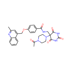 CC(=O)N1CCN(C2(CNC(=O)c3ccc(OCc4cc(C)nc5ccccc45)cc3)C(=O)NC(=O)NC2=O)CC1 ZINC000028892659