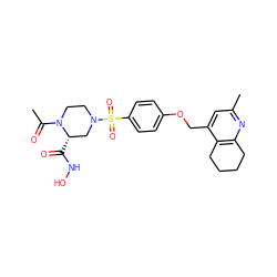 CC(=O)N1CCN(S(=O)(=O)c2ccc(OCc3cc(C)nc4c3CCCC4)cc2)C[C@@H]1C(=O)NO ZINC001772622545