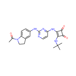 CC(=O)N1CCc2cc(Nc3nccc(Nc4c(NC(C)(C)C)c(=O)c4=O)n3)ccc21 ZINC000101595833