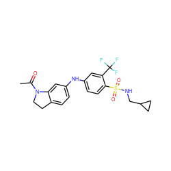 CC(=O)N1CCc2ccc(Nc3ccc(S(=O)(=O)NCC4CC4)c(C(F)(F)F)c3)cc21 ZINC000146094671