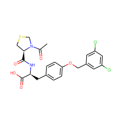 CC(=O)N1CSC[C@@H]1C(=O)N[C@@H](Cc1ccc(OCc2cc(Cl)cc(Cl)c2)cc1)C(=O)O ZINC000028114755