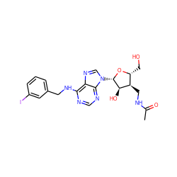 CC(=O)NC[C@@H]1[C@@H](CO)O[C@@H](n2cnc3c(NCc4cccc(I)c4)ncnc32)[C@@H]1O ZINC000034800762