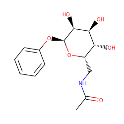 CC(=O)NC[C@@H]1O[C@@H](Oc2ccccc2)[C@@H](O)[C@@H](O)[C@@H]1O ZINC000029476179