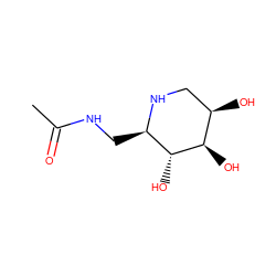 CC(=O)NC[C@H]1NC[C@@H](O)[C@@H](O)[C@@H]1O ZINC000003870769